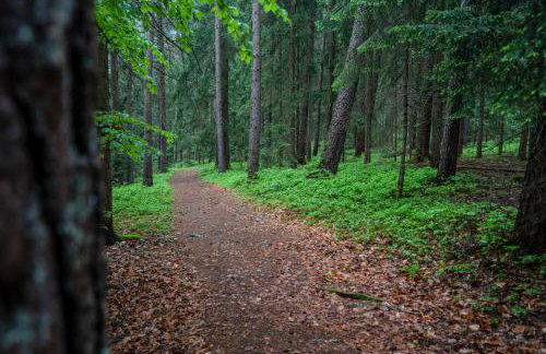 Wandern im Bayernwald - Foto 27