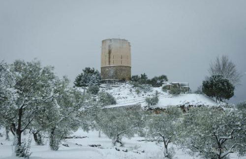 Apartamento Roma - Foto 2