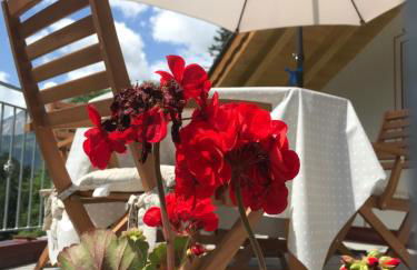 Genzianella Mansarda Molveno-Andalo - Foto 11