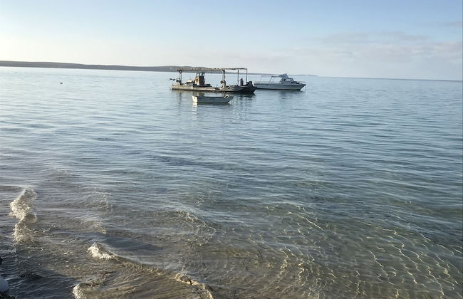 Shark Bay Seafront Apartments - Photo 47