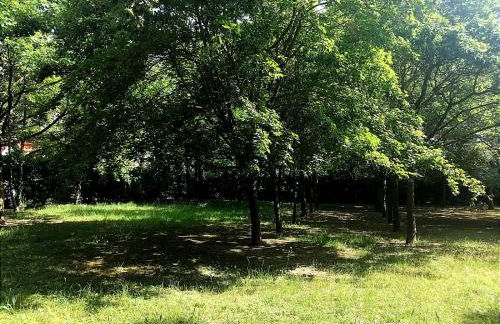 Orizzonte Marino Giallo Angolo solare verso la laguna - Foto 17