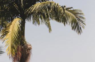 Øko Villa - Foto 76