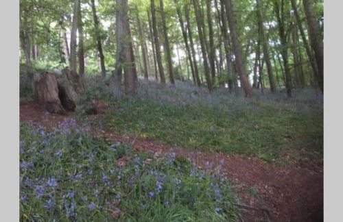 2 Beautiful Apartments in One House - Foto 46