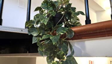 Da Vera a 2 Passi - Foto 2