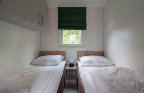 Iguana - Das Tiny Haus am Reptilienzoo Reptilium - Foto 18