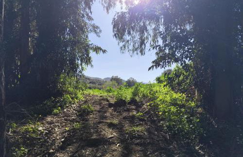 Andalusian Pool Parties Music & Magic - Photo 13