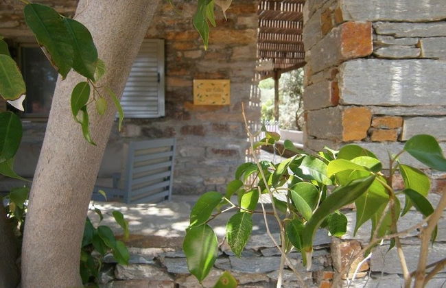 Elea Koundouros - Foto 4