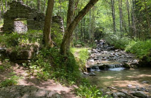 La Fontaine de l'Alpe d'Huez Gite And Spa - Photo 26