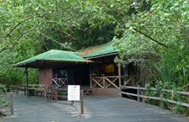 Permai Rainforest Resort - Foto 2