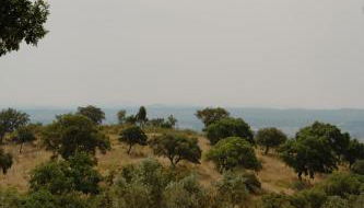 Herdade Vale de Cabras - Foto 3, sunbed