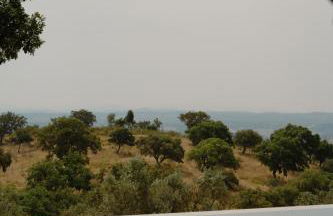 Herdade Vale de Cabras - Foto 3