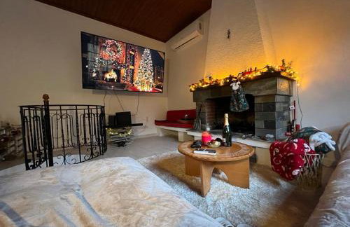 Forest view Aggeliki - Foto 9