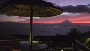 Lucy's Rosegarden - Photo 2