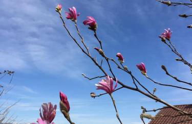 Ferienwohnung Anita - Foto 31