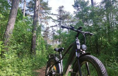 Lazy 8 Villa - Photo 13