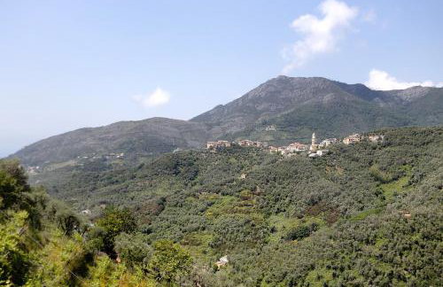 Green Cactus House - Foto 22