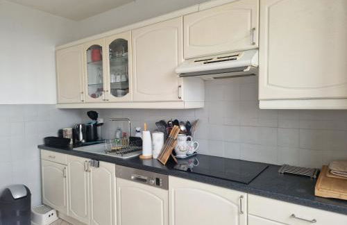 T4/5 avec vue sur les Alpes à 5 minutes de Lyon - Foto 4