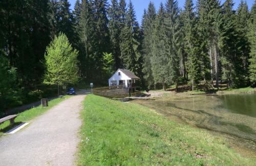 Holiday Home Irenahaus by Interhome - Foto 33