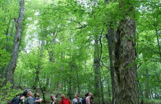 U Jadzi Pogórze Przemyskie - Foto 11