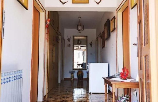 Naomi's Sunshine - Foto 32