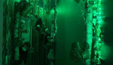 La suite Oasis - Foto 2