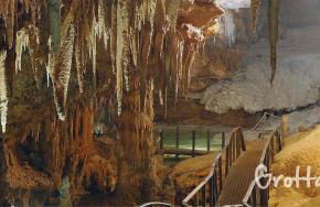 Mussilimbrosu - Photo 19