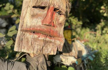 Agroturystyka Raj "Pod rzeźbami" - Photo 71