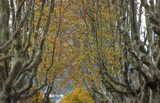 Douro - A Casinha da Ana - Photo 19