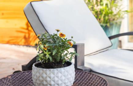 Edwin by Avantstay Hollywood Hills Luxury + Pool - Foto 89