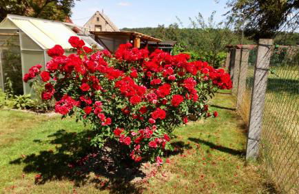 Ferienwohnung Wawrok - Foto 32