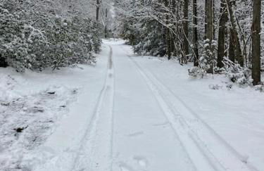 Peaceful Seasonal Wooded Cottage close to everything - Foto 48