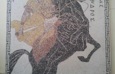 Hotel Apollon - Foto 16