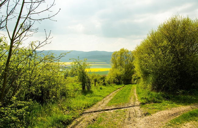Haus Gerda in Bodenwerder - Foto 41