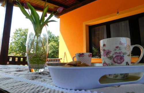 Apartment Petrovic - Foto 11