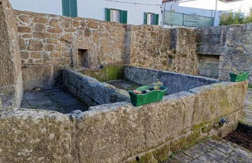 Casa dos Livros - Guest House - Foto 11