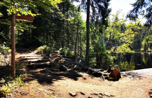 Ferienwohnung am Woid - herrliche Alleinlage - vegane Einrichtung - Foto 36