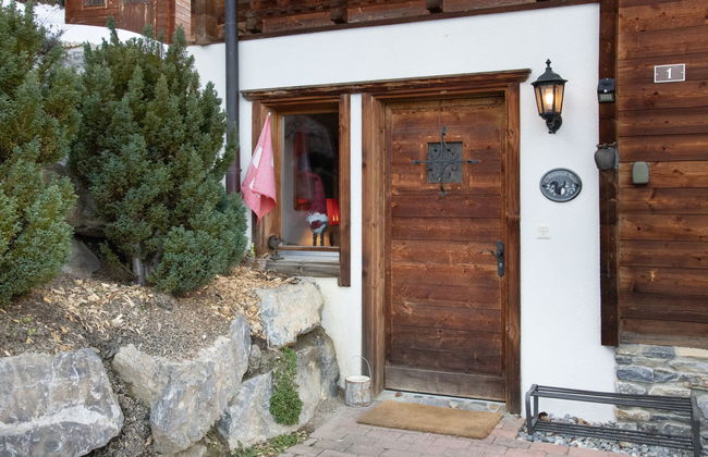 Ecureuil noir - Foto 32