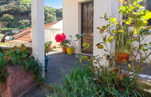 Charming house in Machico with mountain view and garden - Foto 19