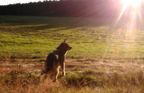 Holiday Home Finnhaus by Interhome - Foto 32