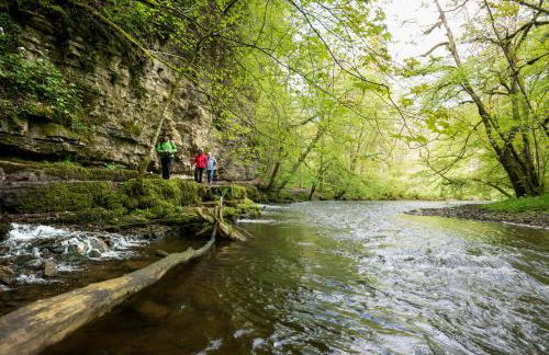 Ferienwohnungen Hirschen - Foto 68