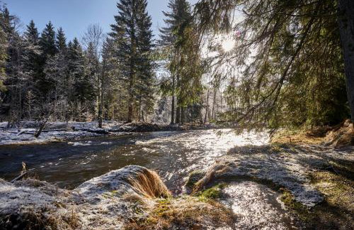 Landhaus Lerchenweg FeWo inkl aktivCARD - Foto 22