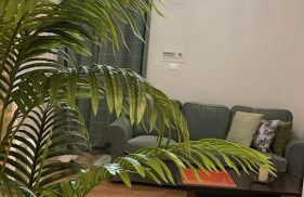 Casa Antonio Taño - Foto 12