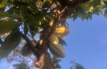 Casa Privativa em Arraial d'Ajuda - 1 Quarto com 2 camas, Cozinha e Banheiro - 10 Minutos do Centro - Sem Estacionamento - Foto 20