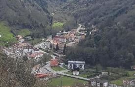 Apartamentos Andrea - Foto 13