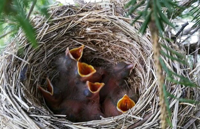 11 Person Holiday Home in Syvde - Foto 18