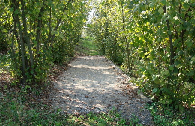 Nice Apartment in Trassenheide - Foto 26