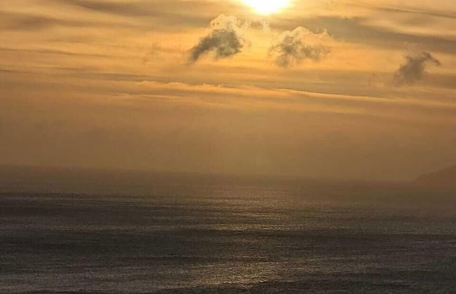 Wild Vanilla Apartment - Photo 50