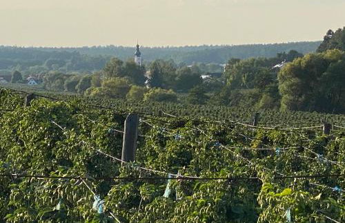 1C Boutique Apartments NR14 - Foto 43