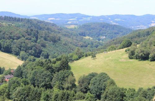Ferienwohnung Rimbach - Foto 20