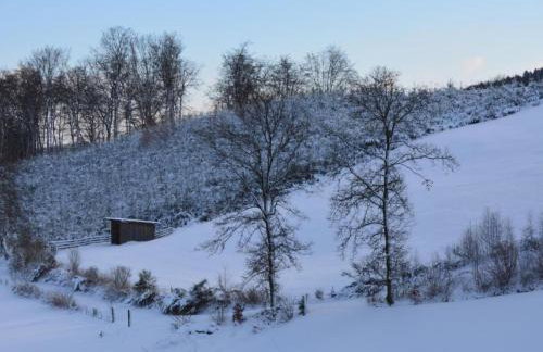 Apartment in Feldmannshof mit Grill und Garten by Interhome - Foto 37